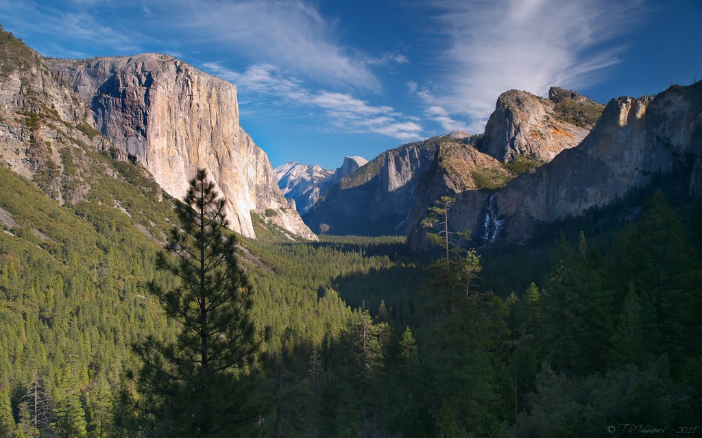 Inspiration Point - Yosemite by Tony Immoos