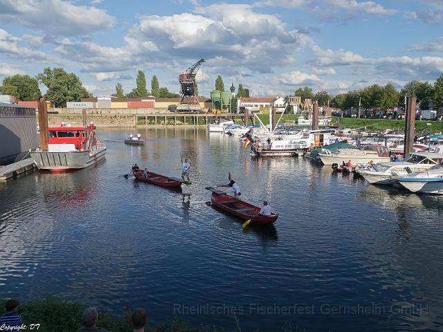 Fischerstechen im Hafen by Rheinisches Fischerf…