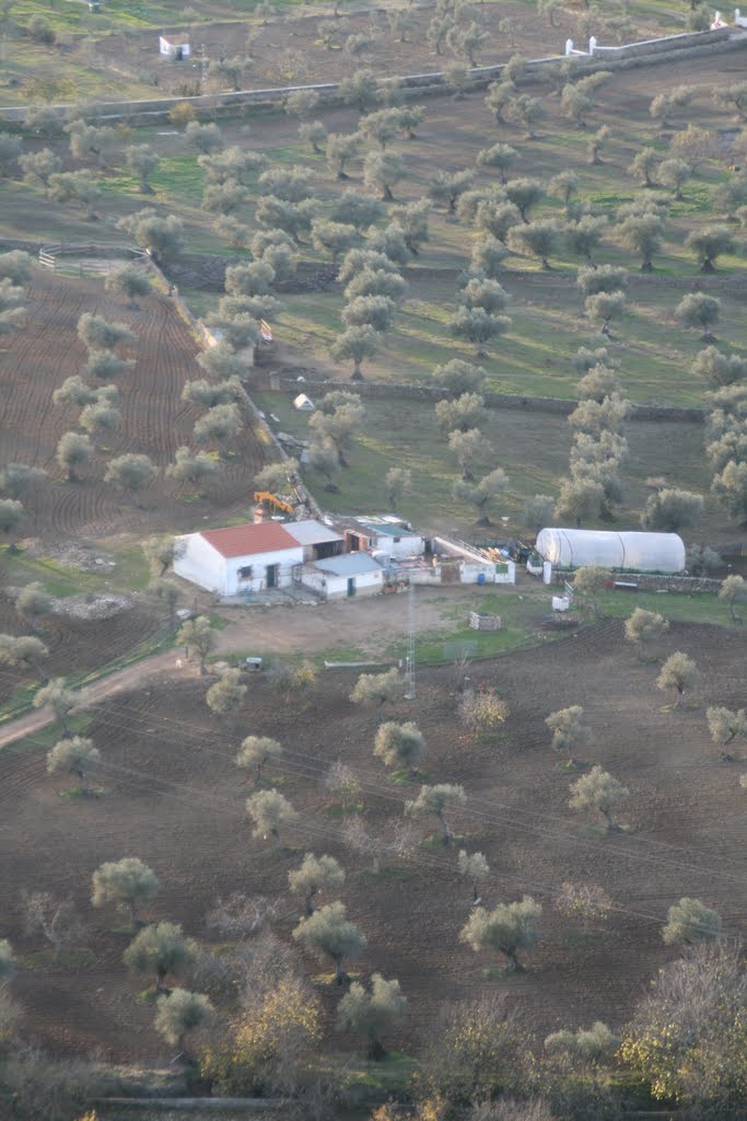 Cortijo by Jesus Mayora