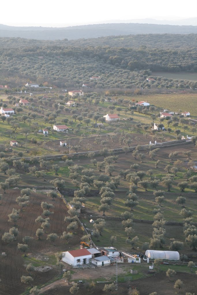 Cortijo y olivos by Jesus Mayora