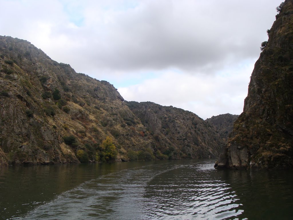 Paseo por el Douro by Beario