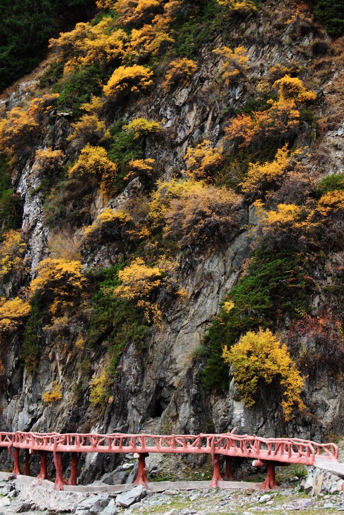 Autumn in Tien Shan by Vitke Car