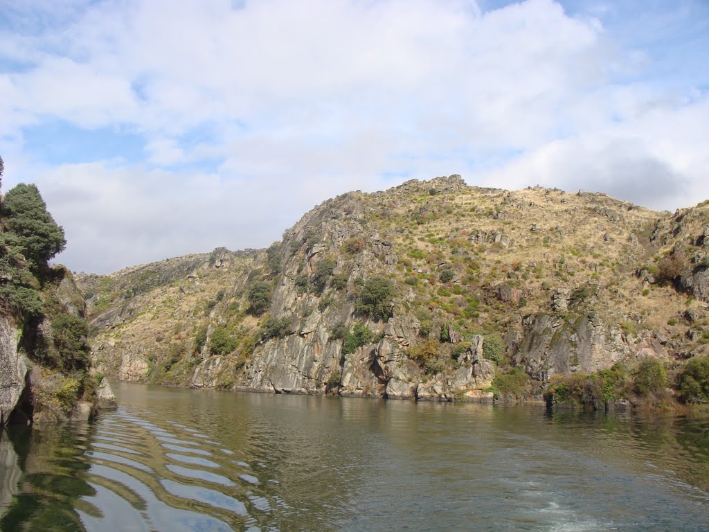 Paseo por el Douro by Beario