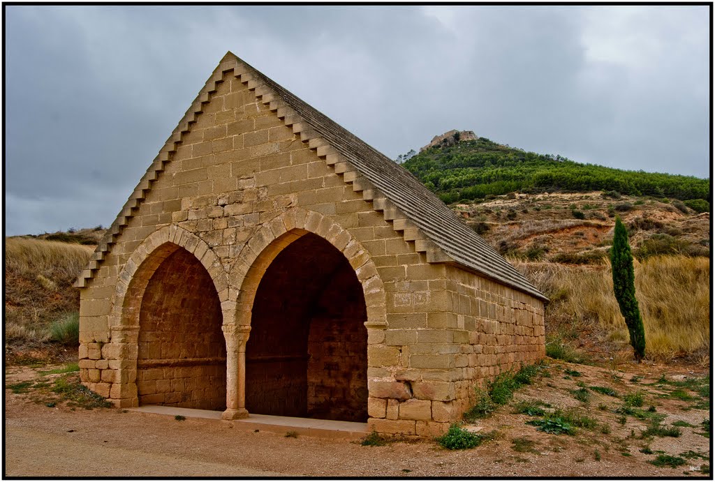 Camino de Santiago,Fuente de los Moros by lugarlu