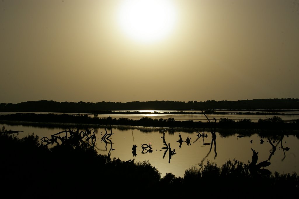 Coucher de soleil sur les marais salans by densg