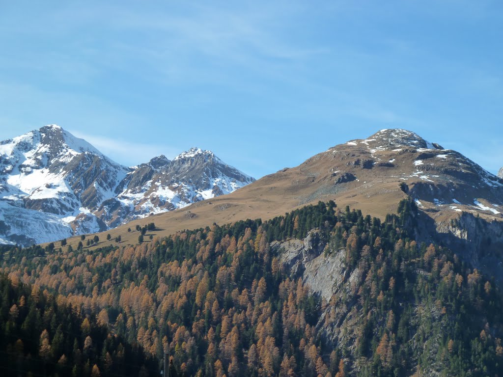 Weiss und Stein und Grün und Braun by Franz Horvath