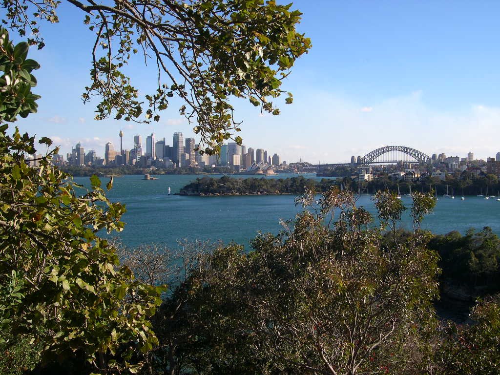 City view from Taraonga Zoo by Yukiko8888