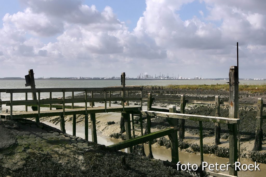 Zicht over de Westerschelde vanuit Ellewoutsdijk richting Terneuzen by Peter Roek