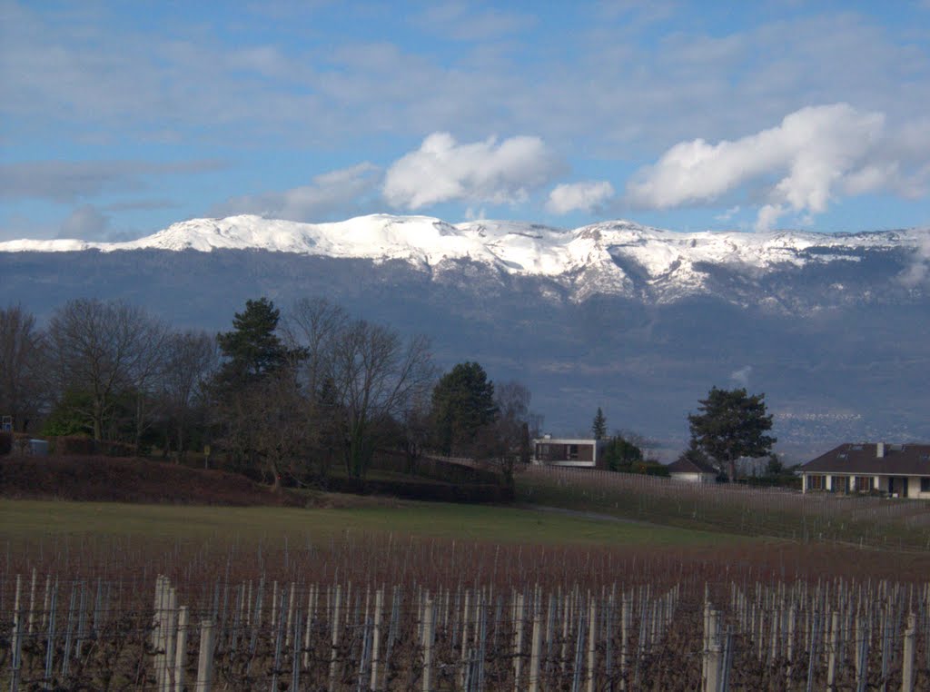 Jura from the Signal de Bernex by 6004592