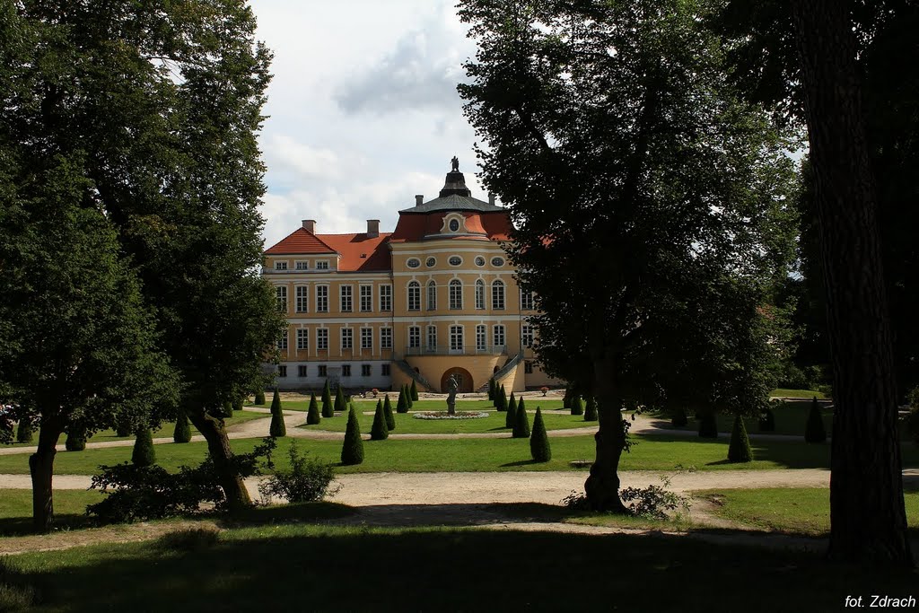 Pałac w Rogalinie by Leszek Zdrach