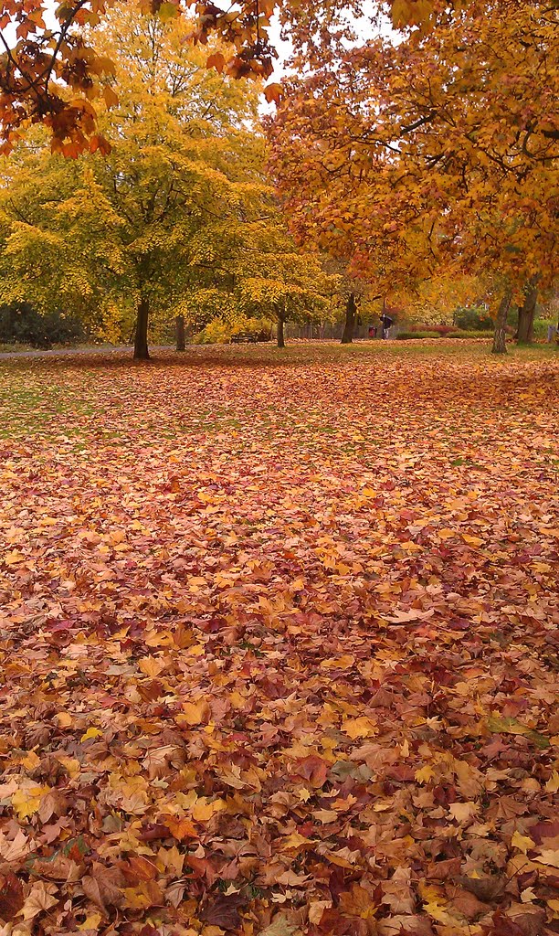 York Road, Leamington Spa by nishat