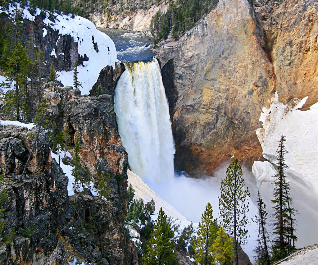 Lower Falls of Yellowstone River by cwicks