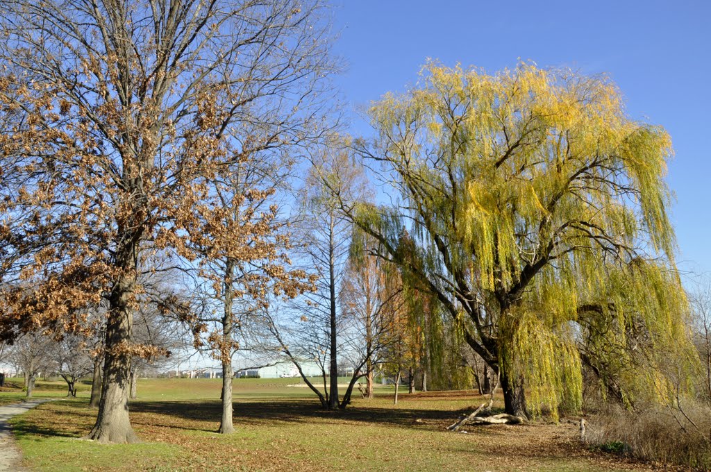 FDR Park by Andy Dinh