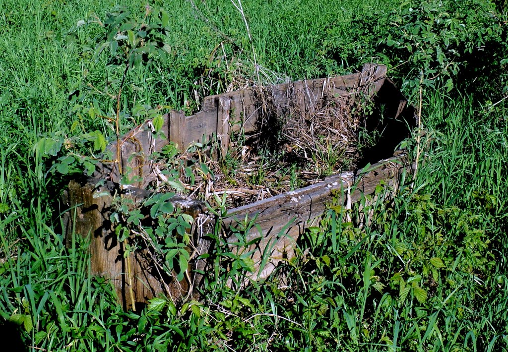 Лодка / Boat, which had grown in the ground by Yury Mashkoff