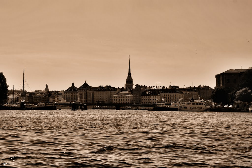 View of Gamla Stan and Tyska kyrkan steeple by Luca Messina