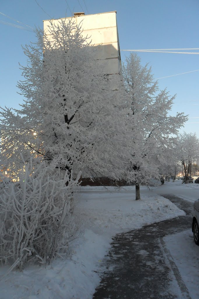 Linevo, Novosibirskaya oblast', Russia by ЧИМКЕНТ