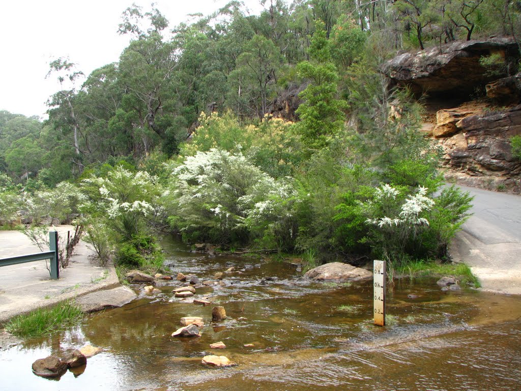 Creek near Glenbrook by Mykola Pinkevych