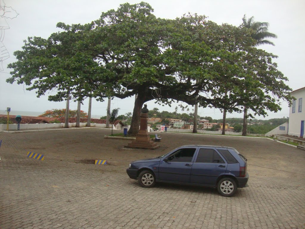 FRONDOSA CASTANHEIRA CENTENÁRIA by Diana Kaya