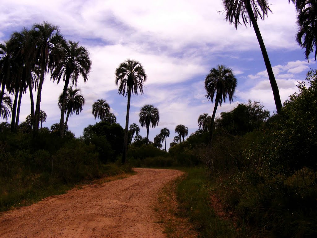 El Palmar, Entre Rios, Argentina by Hector Perez (Barrer…