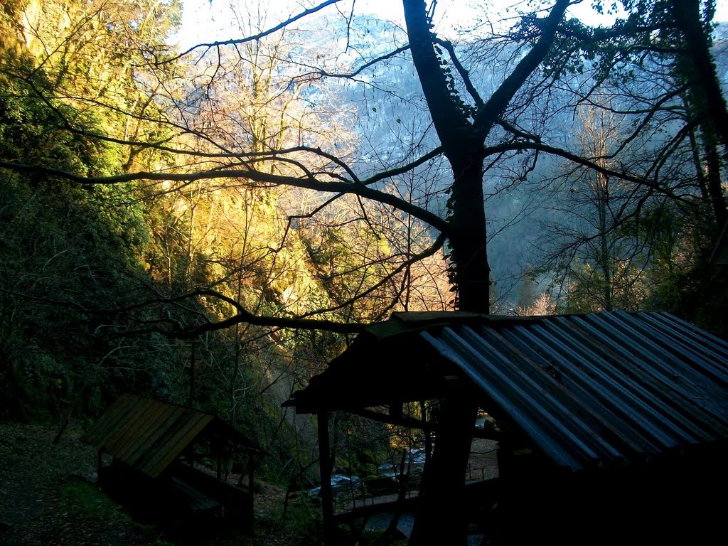 Near the Makhunceti waterfall by Pogromca Gašnič