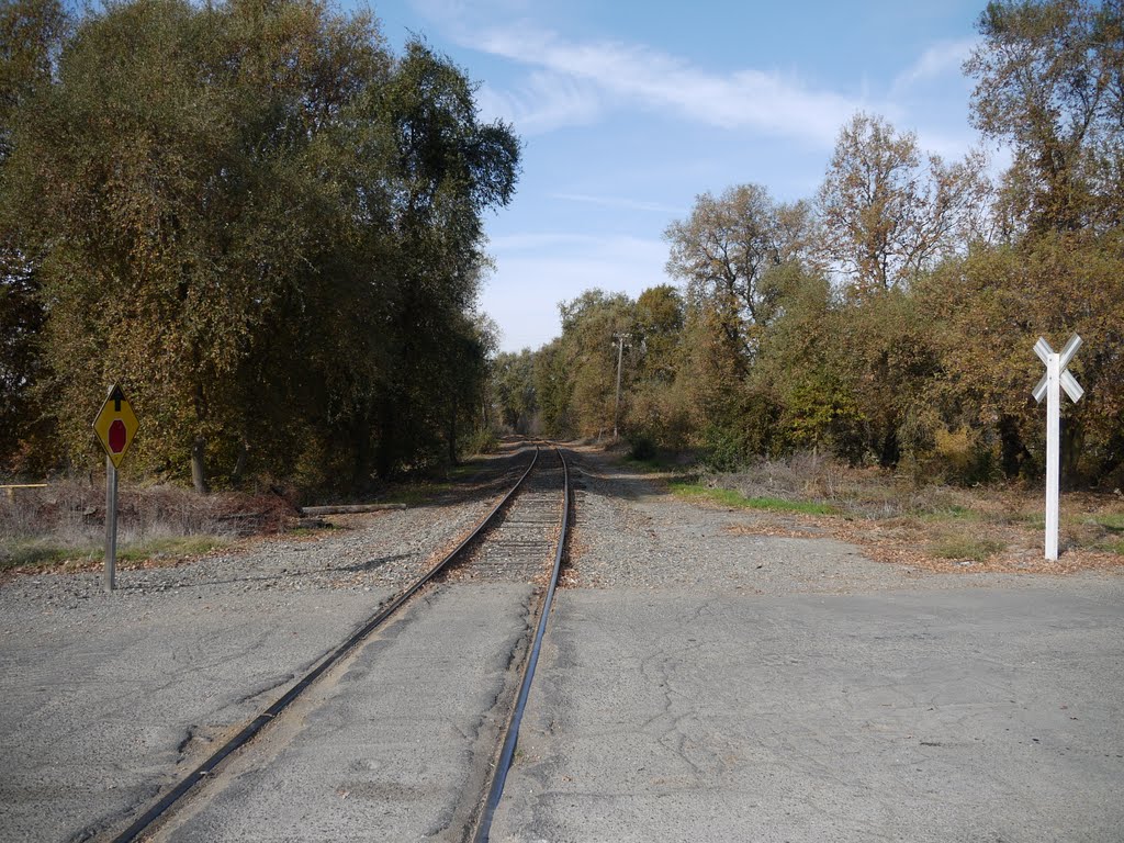 Railroad tracks as seen from county rd 117 (looking northwest) by VasMan