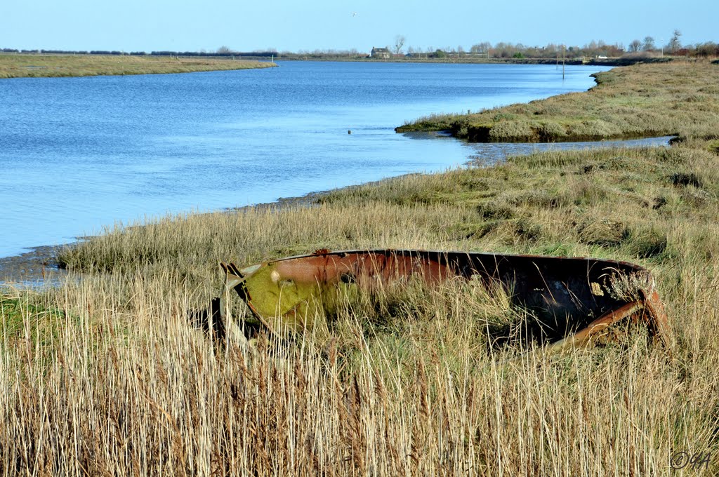 Brévands : Le long de la Douve, une coque !! by Y. A, Villyssois.