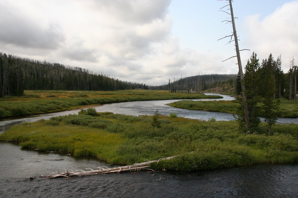 Lewis River by Tim Pittman