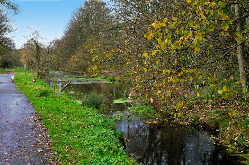 Aberdare Canal by Guybm