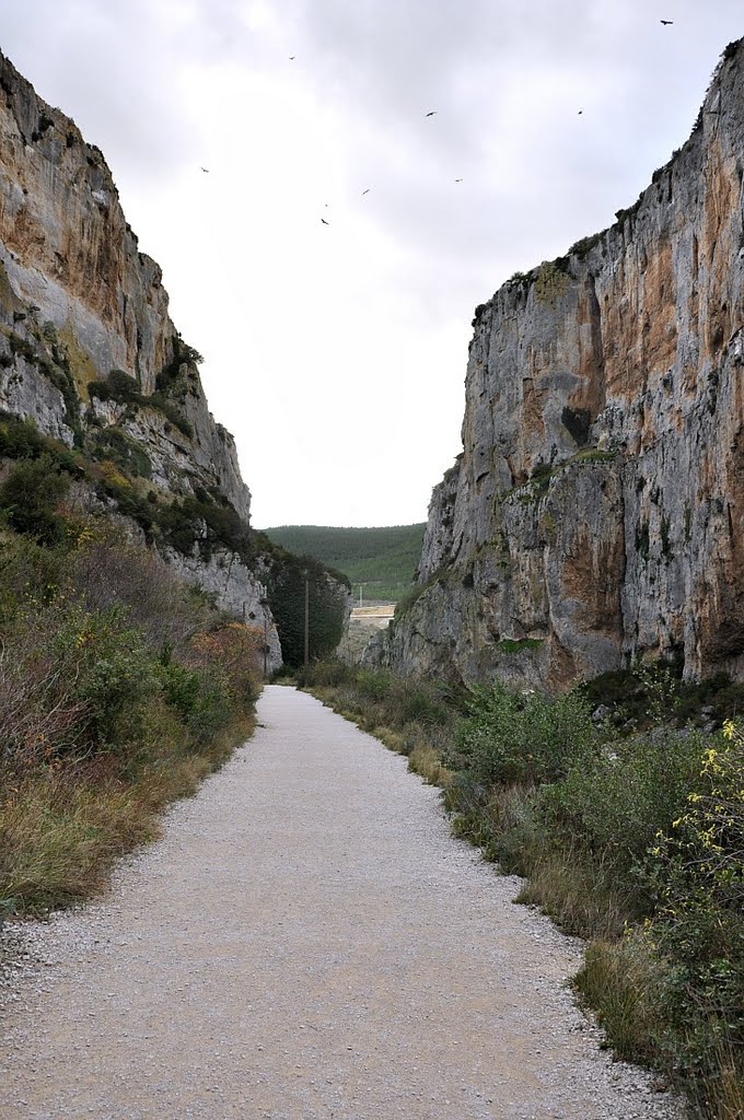 Foz de Lumbier by Jesus Mº Etayo