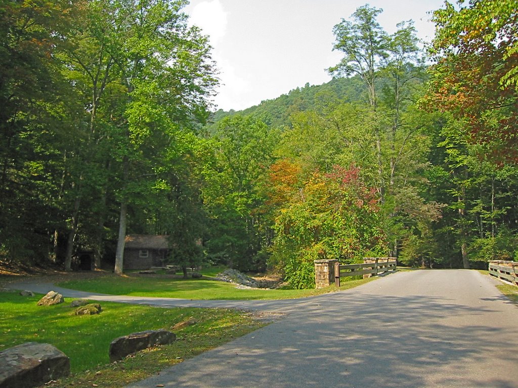 Rental Cabin, Watoga State Park by Doug Roach