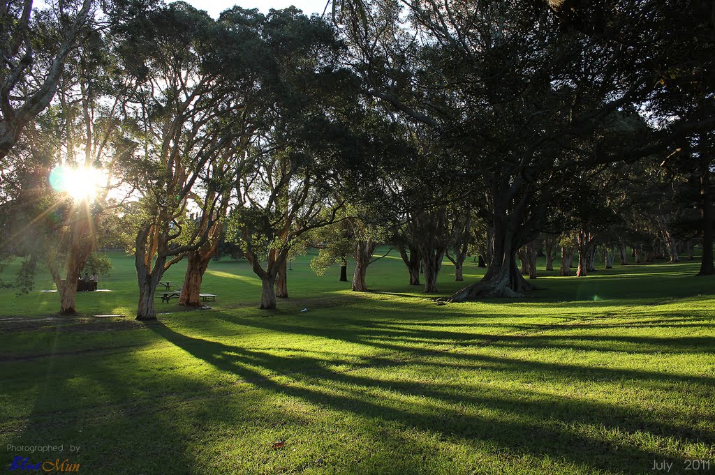 Centennial Park, Sydney, NSW, Australia by Blue Mun