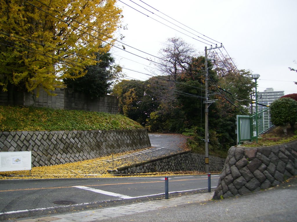 ヨコハマ　港の見える丘公園から by bellsky