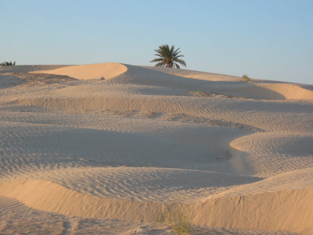 Tunisie le SUD.... by touslesj