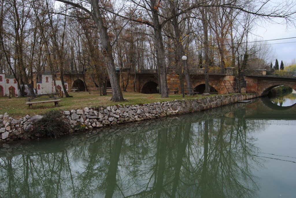 Parque en la Ribera del Rio Duero, San Esteban de Gormaz by Pablo Catalina