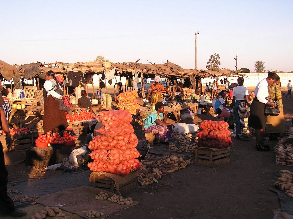 Libuyu, Livingstone, Zambia by pet2301