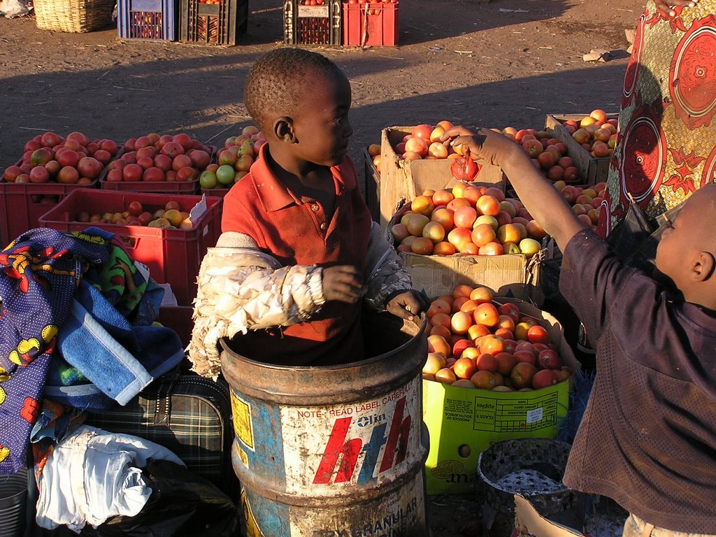 Livingstone, Victoria Falls, Zambia by pet2301