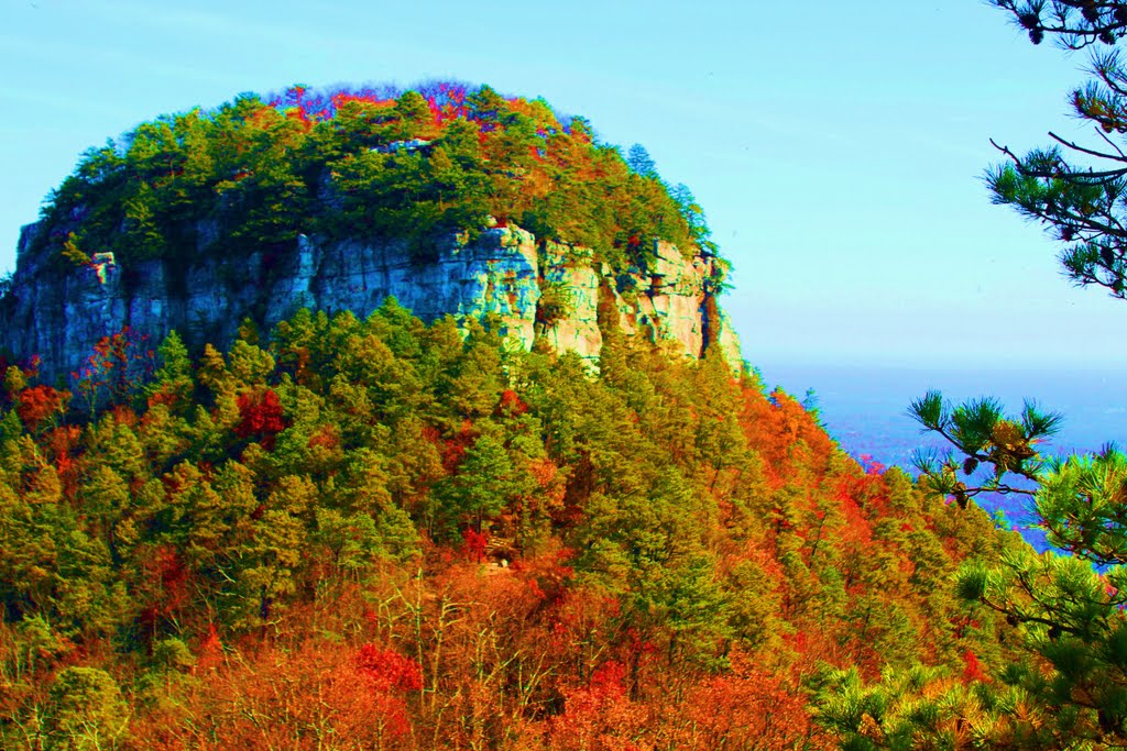 Pilot Mountain, NC Fall 2011 by Bob Whitt