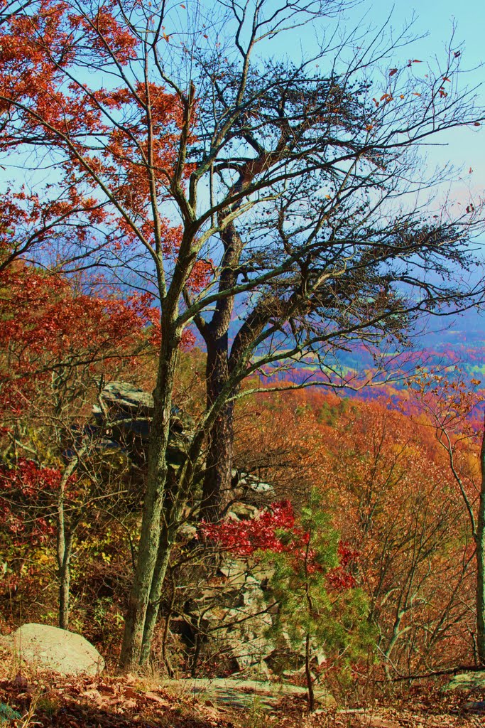 Pilot Mountain, NC Fall 2011 by Bob Whitt