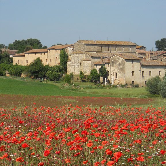 Abbadia Isola - Siena by Siena Walking Tours