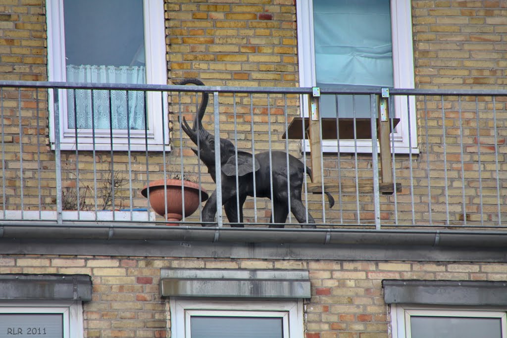 ... aber'n Elefant auf'm Dach ! by Mecklenburg pro Panoramio