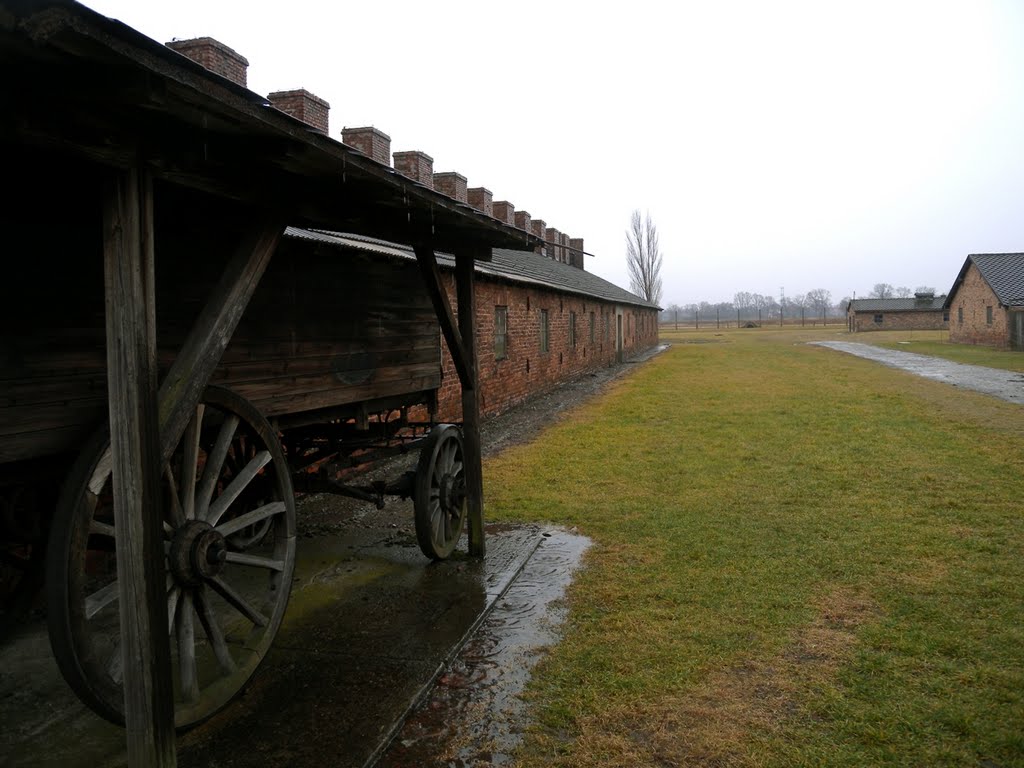 Birkenau concentration camp by Giuseppe D'Ambrosio