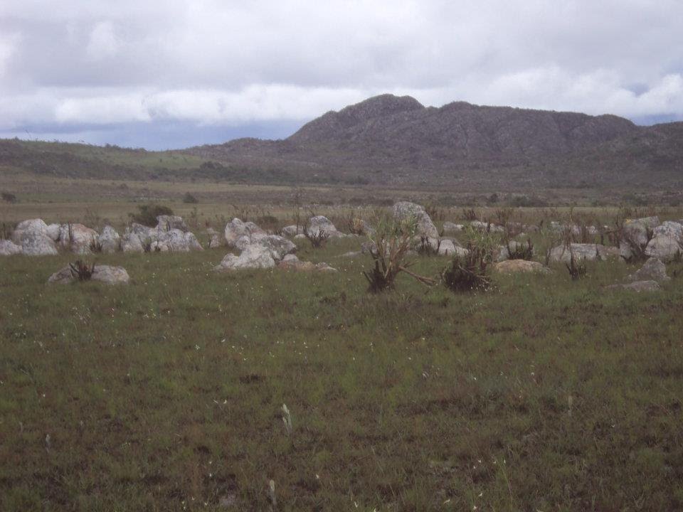 DIAMANTINA, paisagem, homenagem Ildevam Cotrim by PEDRO (Pedrão)