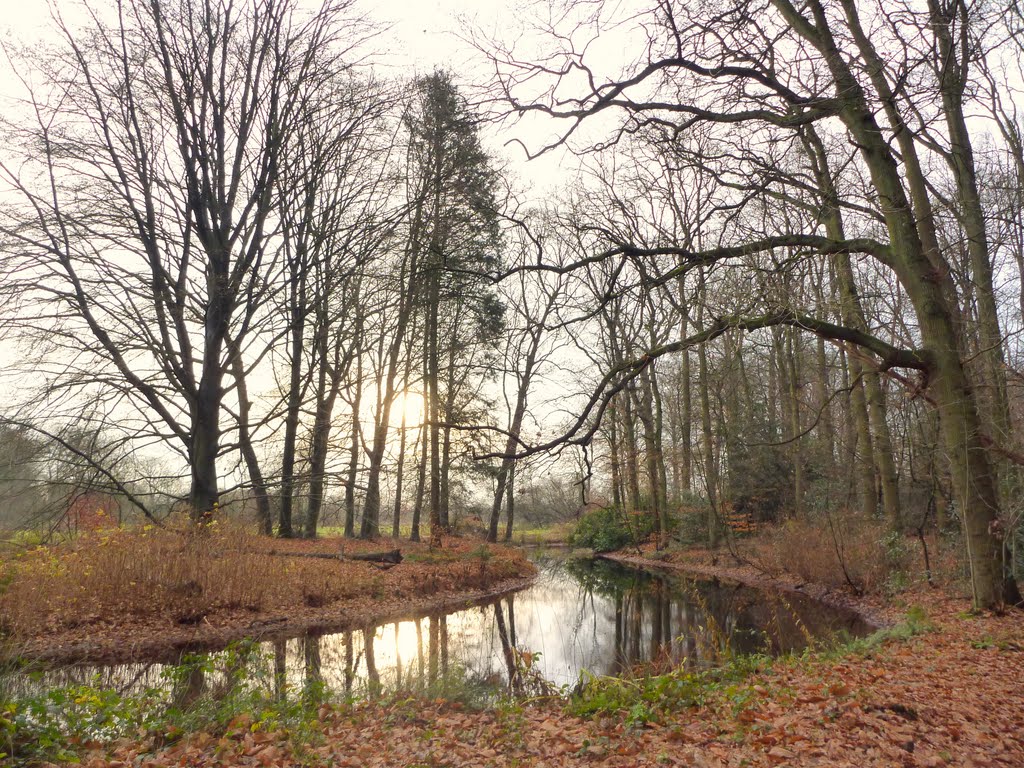 Late herfst op Sandwijck , Late autumn by Mart61