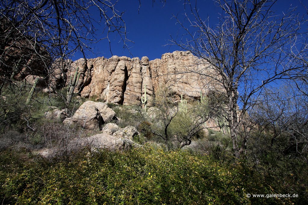 Boyce Thompson Arboretum State Park by www.galenbeck.de