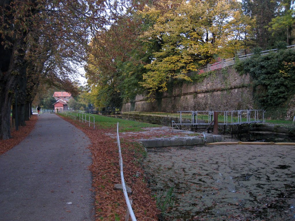 Locks of the Canal De Jouy, Metz, France by Maarten Sepp