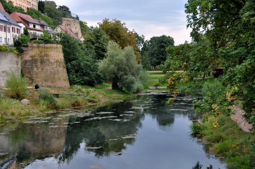 Breisach am Rhein, Germany. by Nicola e Pina Europa…