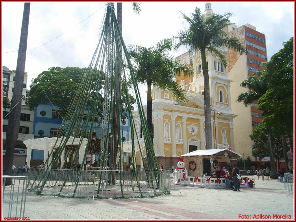 Praça Cel. Fernando Prestes - Foto: Adilson Moreira by adilson moreira