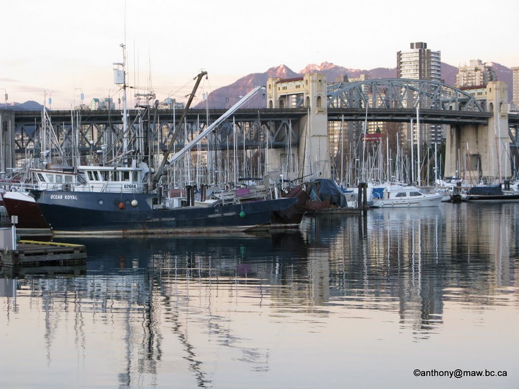 Vancouver False Creek harbour fishing boats winter by Anthony Maw