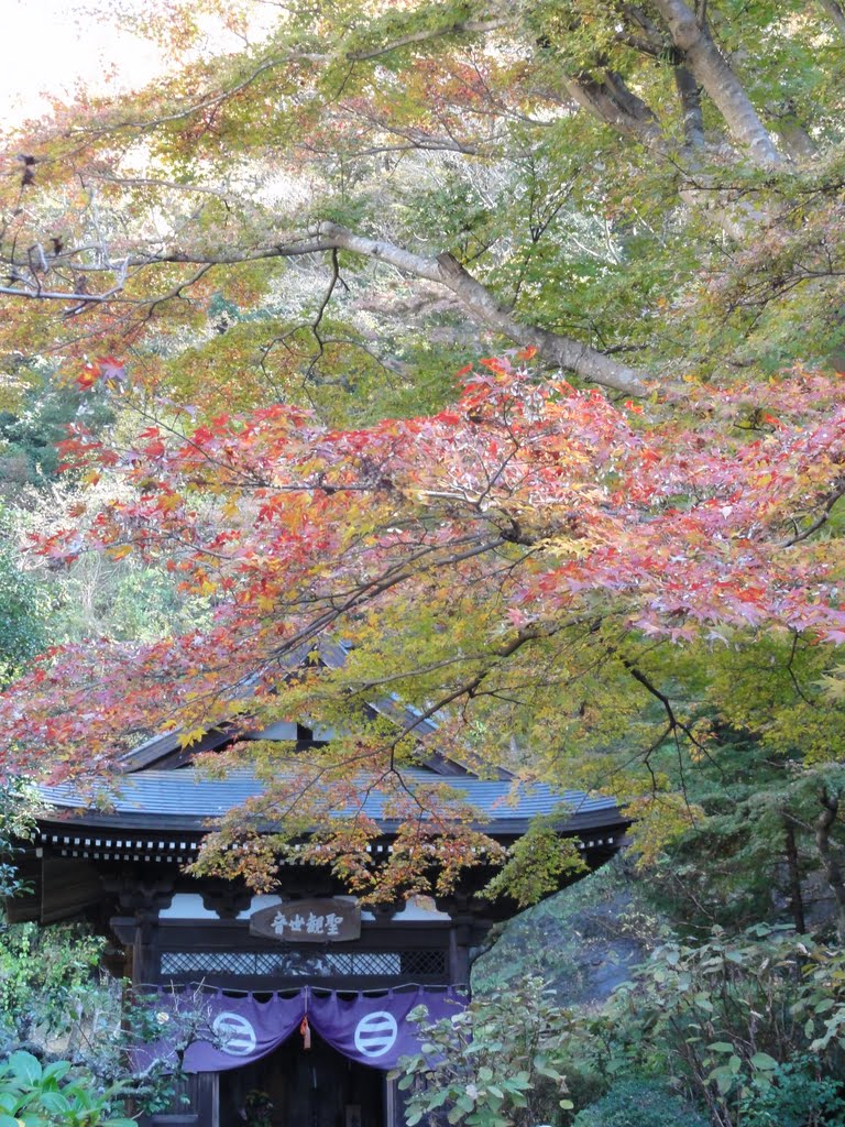 円覚寺　鎌倉　平成23年秋（Engaku-ji temple Kamakura autumn in 2011) by sekifu