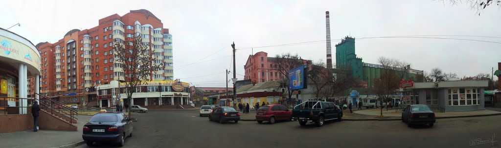 Пр.Рибальський та вул. Леніна близ млинкомбінату by Maxim Shamayda